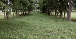 BMRDA APPROVED LAYOUT FOR SALE in Jigani