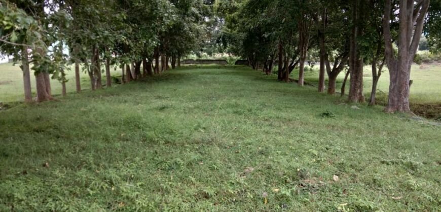 BMRDA APPROVED LAYOUT FOR SALE in Jigani